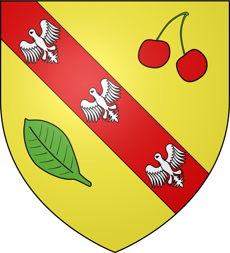 Fayl:Blason Le Clerjus.svg