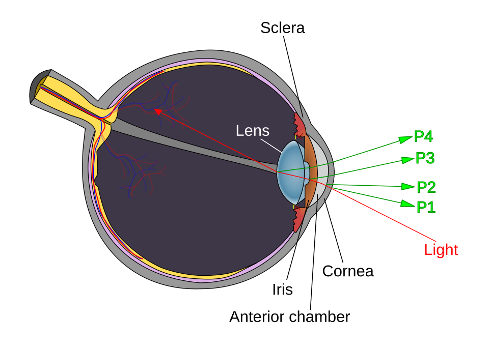 Fayl:Diagram of four Purkinje images.svg