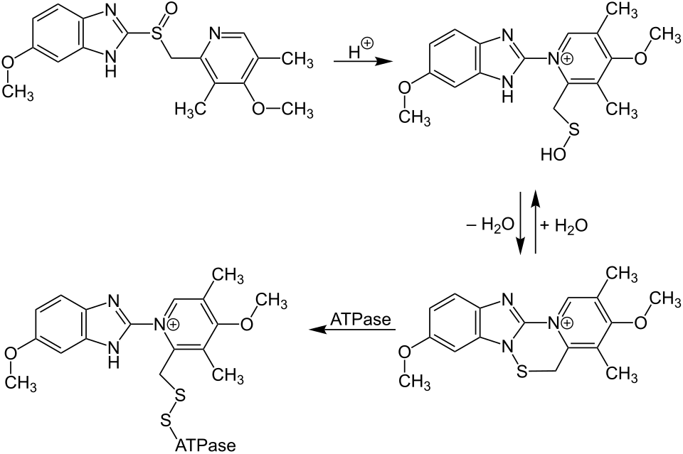 Fayl:Omeprazole Mechanism V1.svg