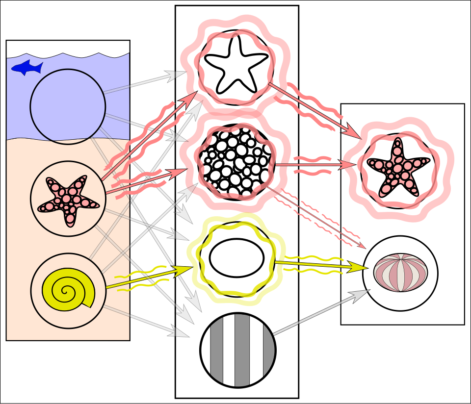 Fayl:Simplified neural network example.svg