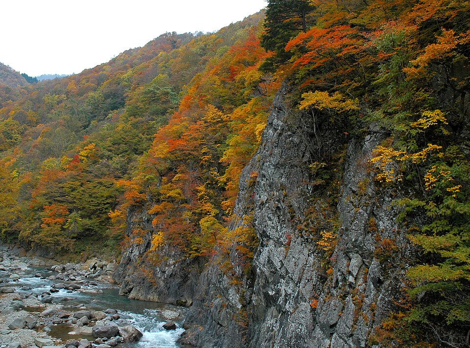 Fayl:Akiyamago 2005 004.jpg