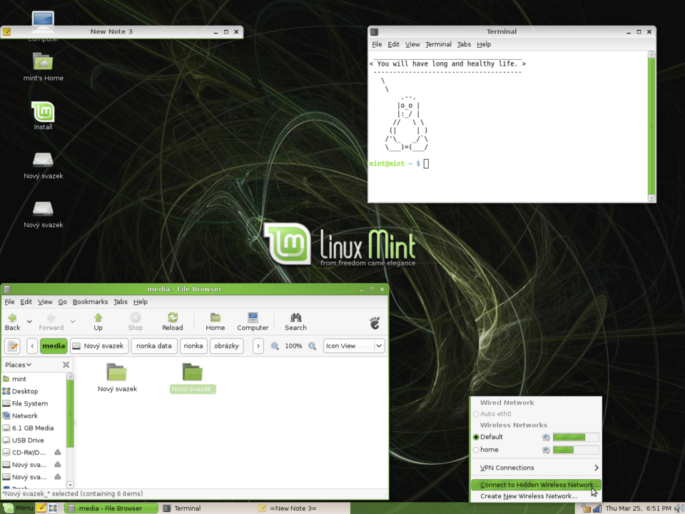 Fayl:Linuxmint6.felicia.desktop.2.png