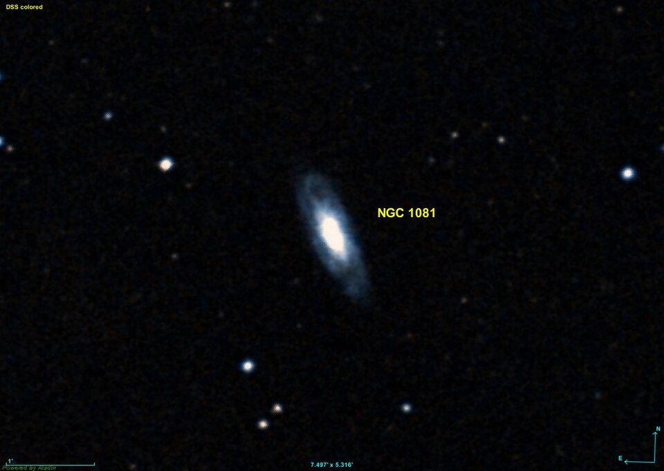 Fayl:NGC 1081 DSS.jpg
