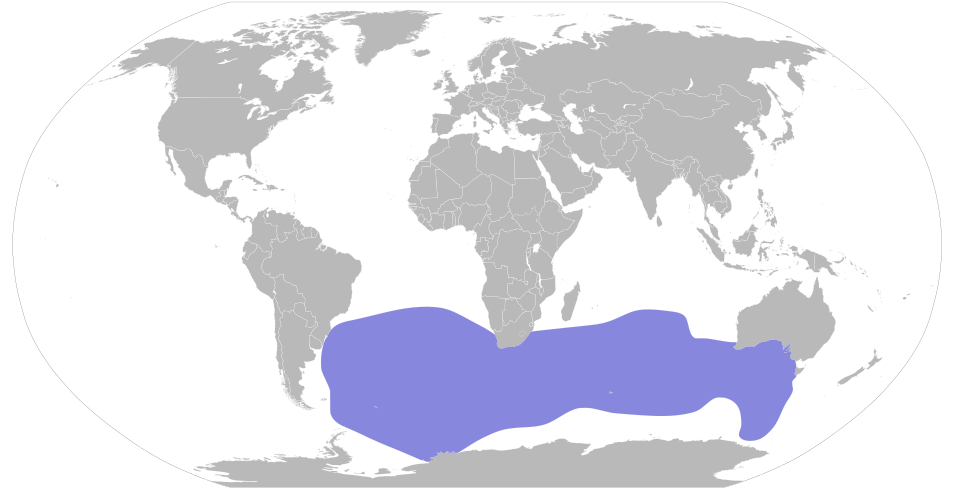 Fayl:Phoebetria fusca map.svg