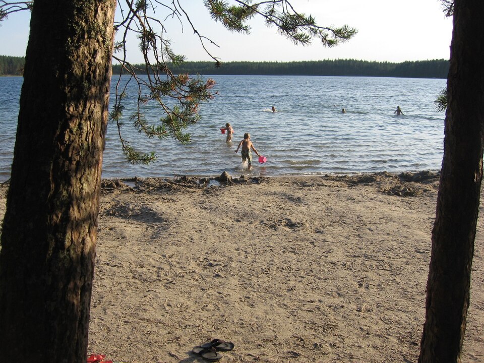 Fayl:Valkealampi.jpg