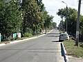 Asosiy ko'cha