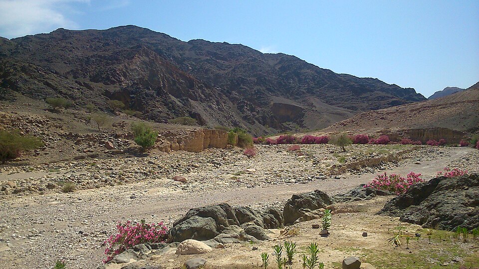 Fayl:Wadi Feynan, May 2014.jpg