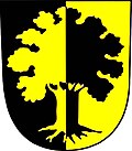 Coat of arms of Dubí