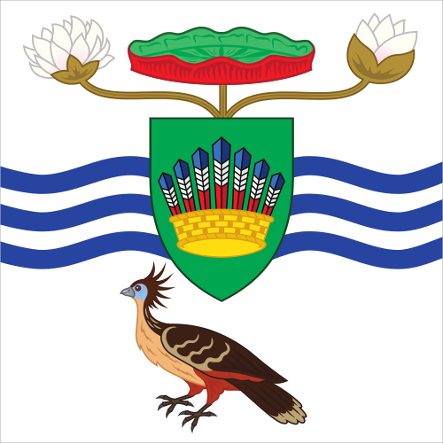 Fayl:Presidential Standard of Guyana 1970-1980.svg