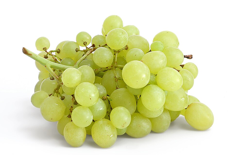 Fayl:Table grapes on white.jpg