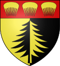 Oyonnax