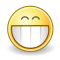 Fayl:Face-grin.svg