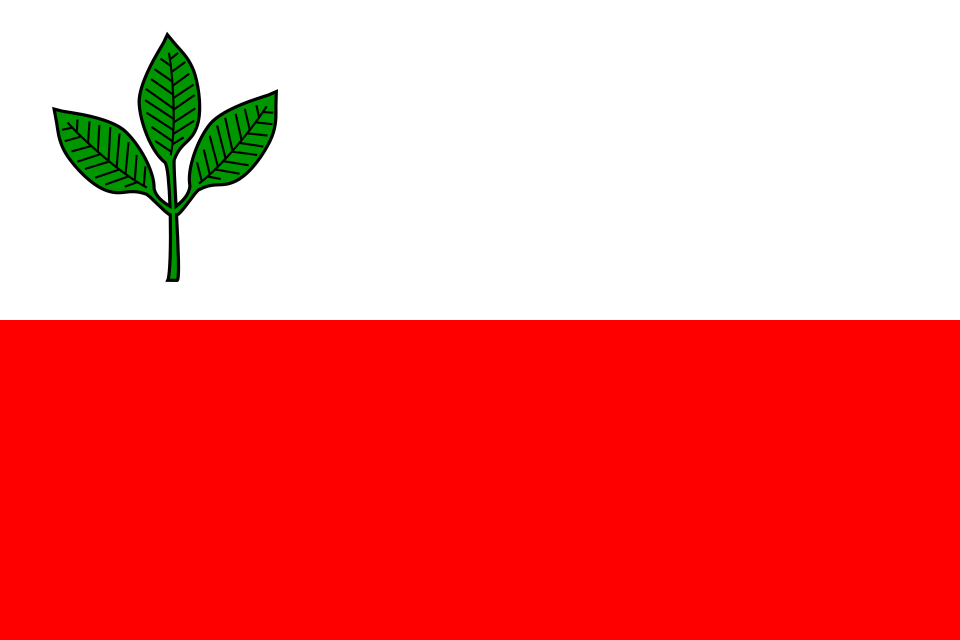 Fayl:Flag of Bucina CZ.svg