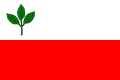 Bučina