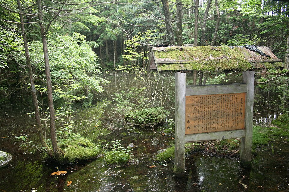 Fayl:Furuike Agematsu.JPG