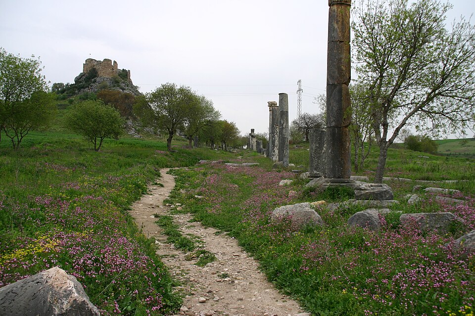 Fayl:Hierapolis kastabala.JPG