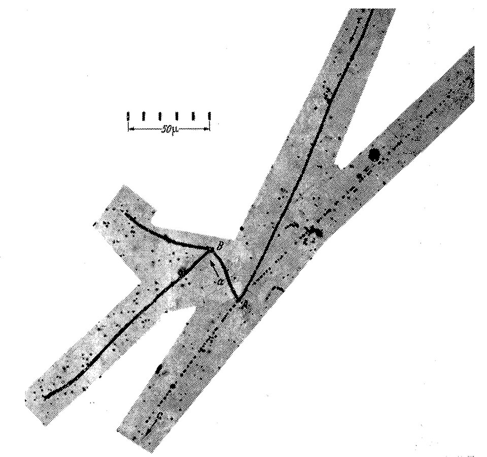 Fayl:K meson decay.jpg