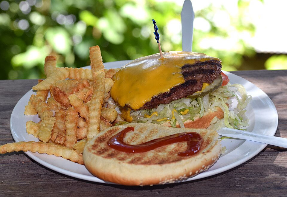 Fayl:Cheeseburger with fries.jpg