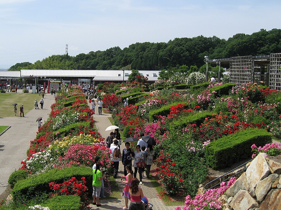 Fayl:Flower Festival Commemorative Park02.jpg