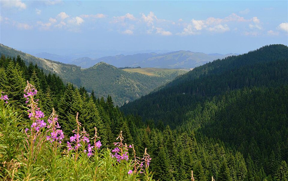 Fayl:Kopaonik 0691.jpg
