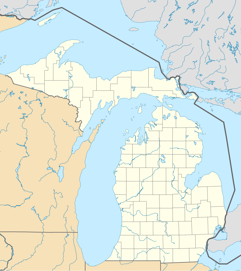 Fayl:USA Michigan location map.svg