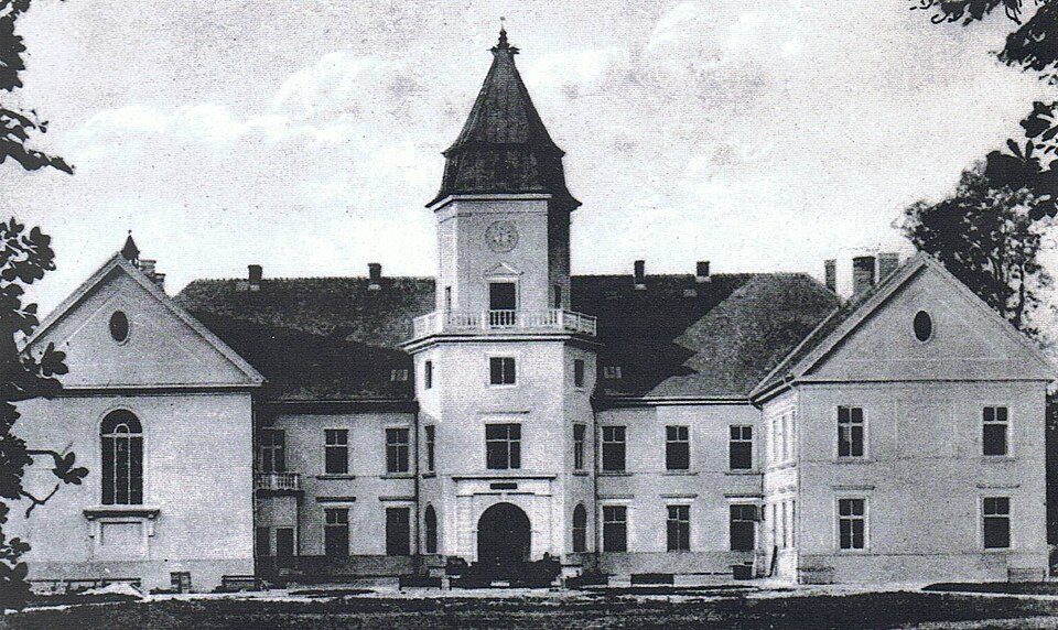 Fayl:Zamek Dzikowski 1930.jpg