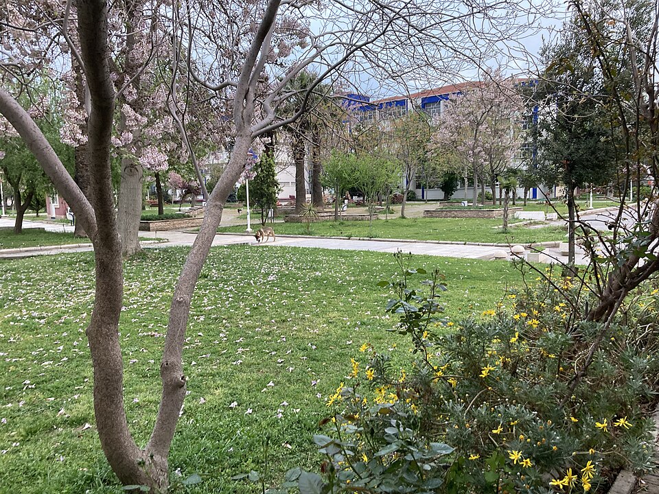 Fayl:Ege üniversitesi kampüs içinde.jpg