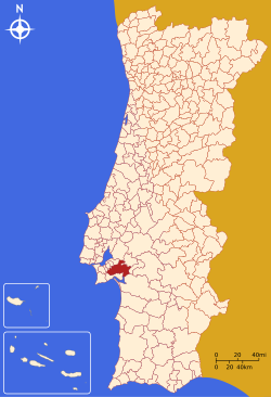 Fayl:LocalPalmela.svg
