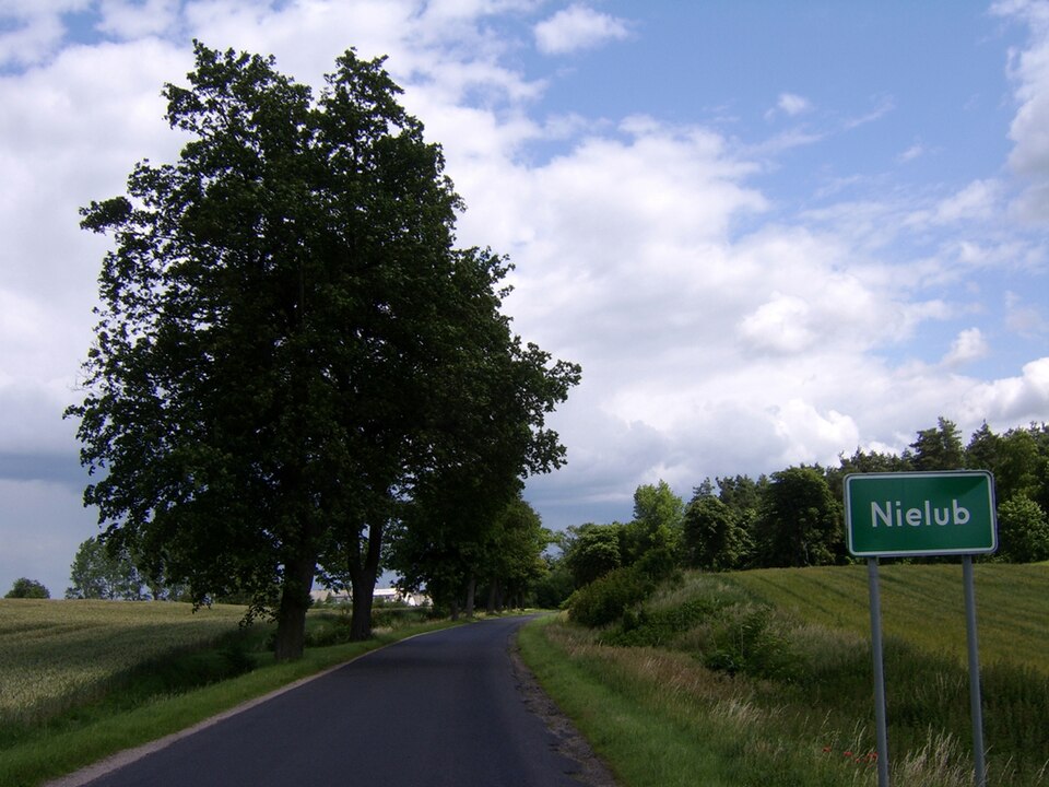Fayl:Nielub.jpg