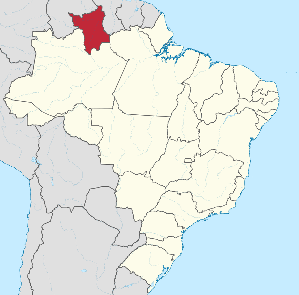 Fayl:Roraima in Brazil.svg