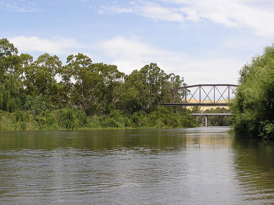 Fayl:MurrumbidgeeAtGundagai.jpg