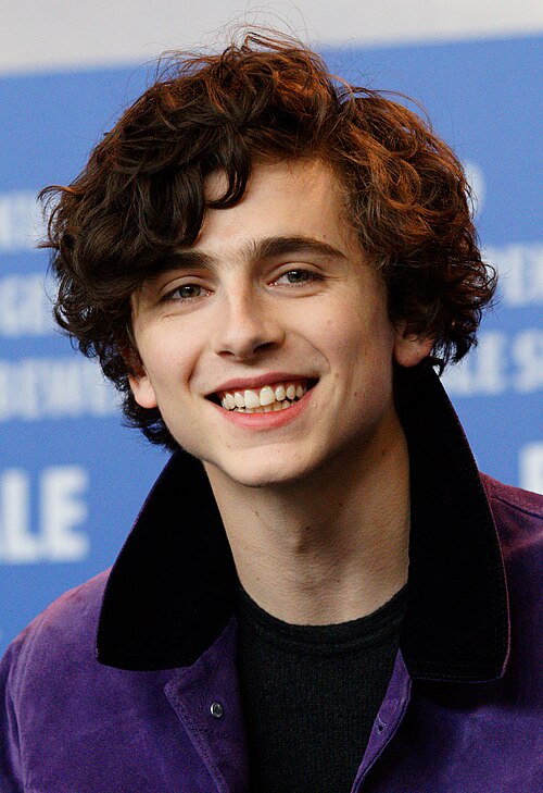 Fayl:Timothée Chalamet 2017 Berlinale.jpg