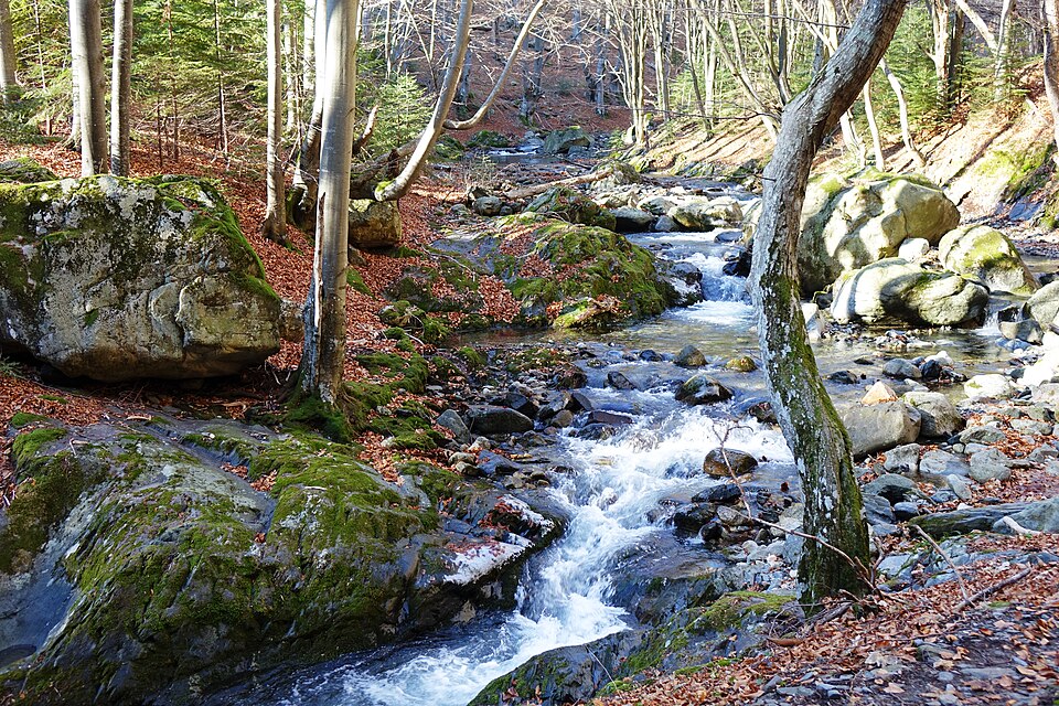 Fayl:Стара река, сенки.jpg