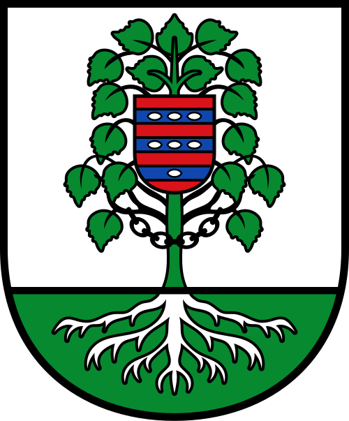 Fayl:DEU Birkenfelde COA.svg