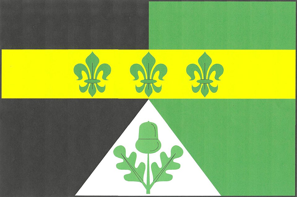 Fayl:Flag of Dubno.jpeg