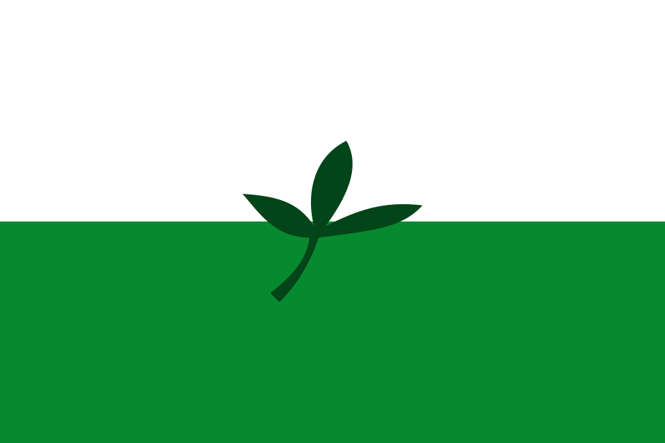 Fayl:Flag of Vaupés.svg