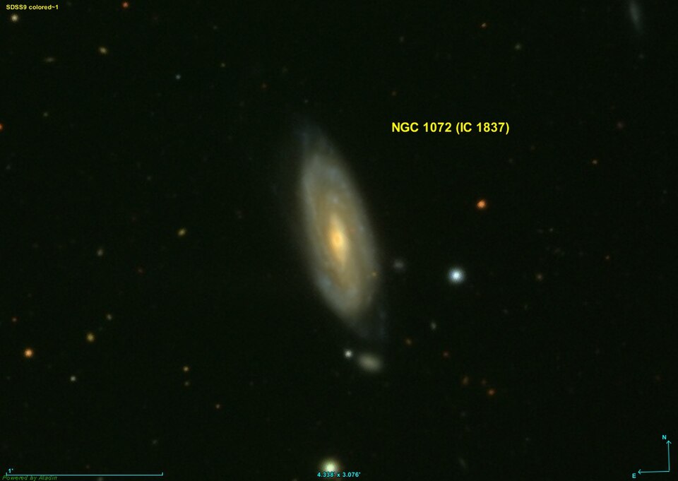 Fayl:NGC 1072 SDSS.jpg