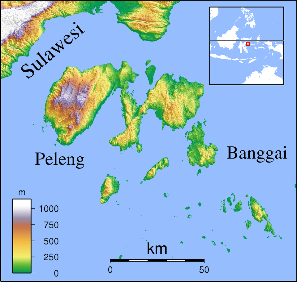 Fayl:Banggai Islands Locator Topography.png