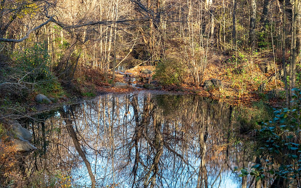 Fayl:Central Park loch (83183).jpg