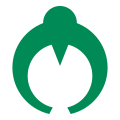 Kamikoani