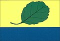 {{{rasmiy_nomi}}}ning bayrogʻi