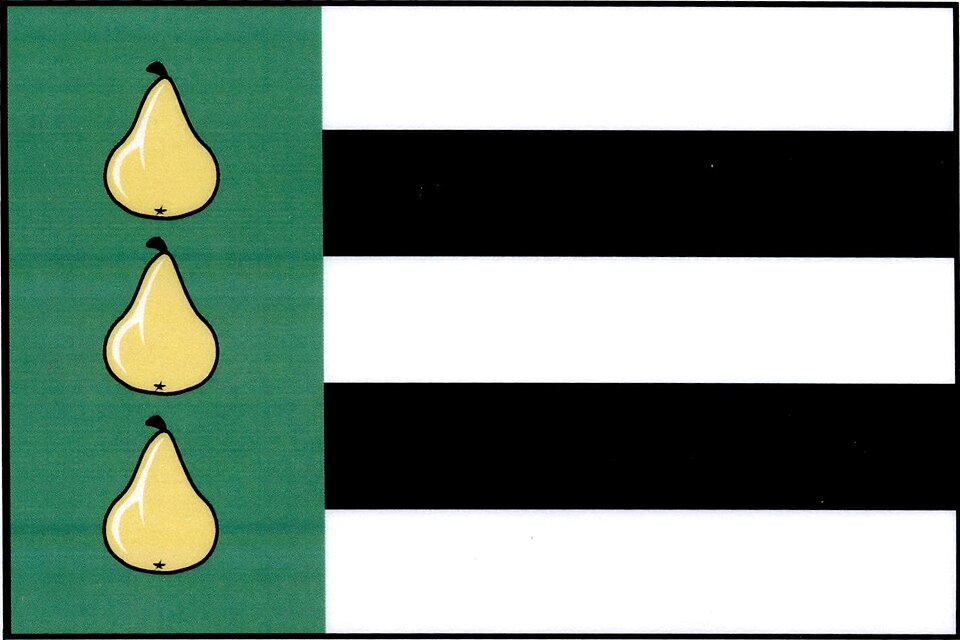 Fayl:Podlešín flag.jpg