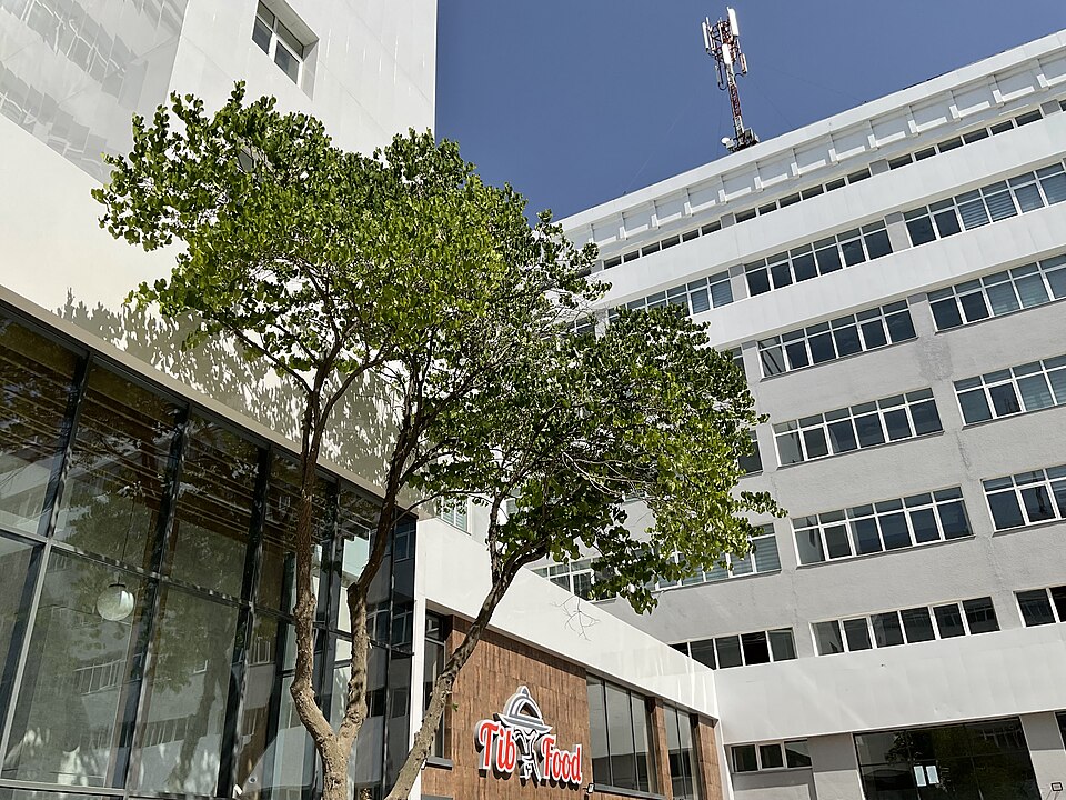 Fayl:TTA campus.jpg
