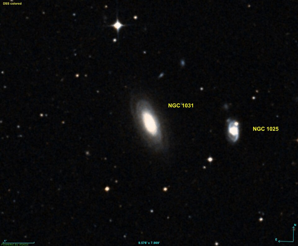 Fayl:NGC 1031 DSS.jpg