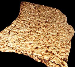 Sangak noni