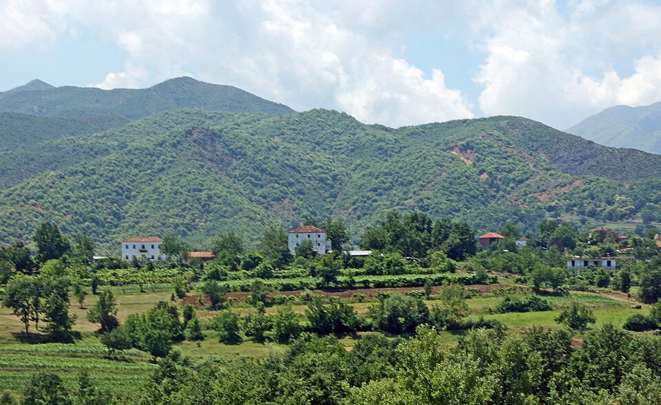 Fayl:Baz, Mat, Albania.jpg