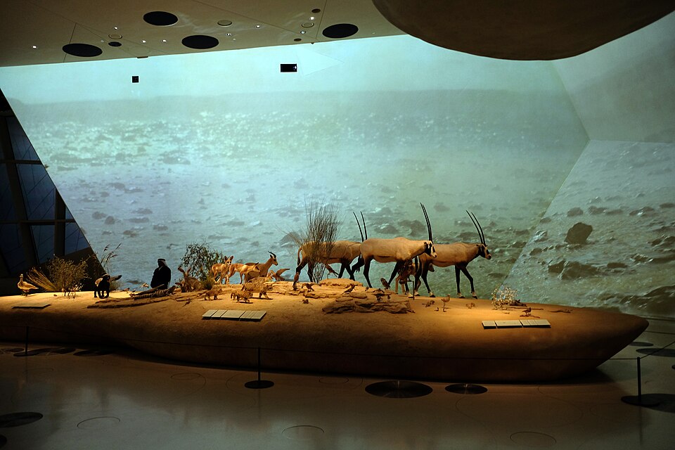 Fayl:National Museum of Qatar 10.jpg