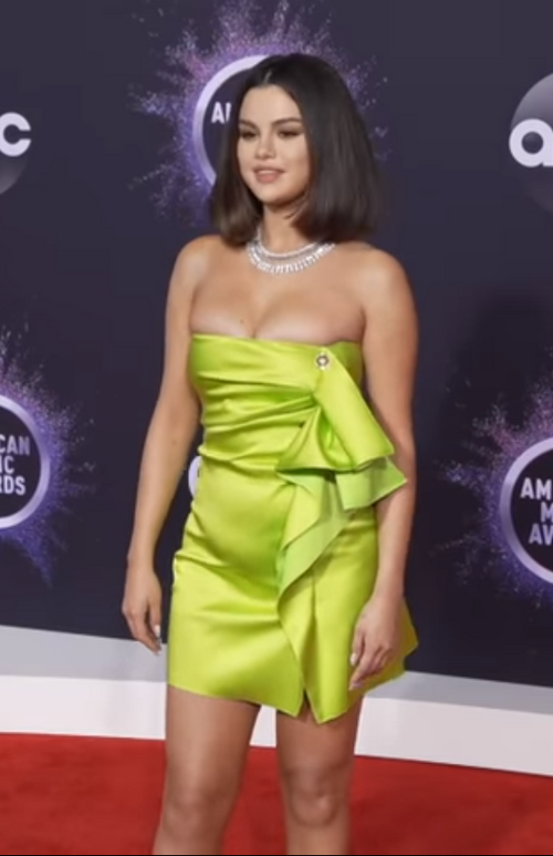 Fayl:Selena Gomez AMAs 2019.png