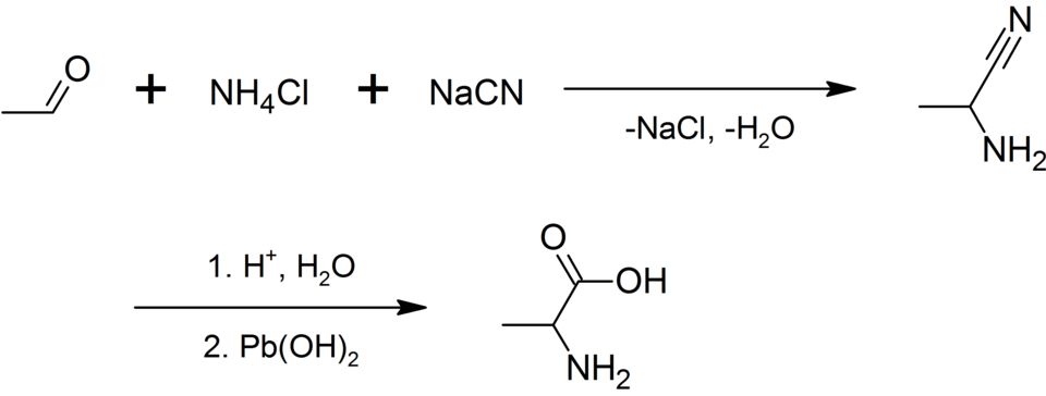Fayl:Synthesis of alanine - 1.png