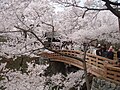 17:32, 2006-yil 30-oktyabr dagi versiya uchun tasvir